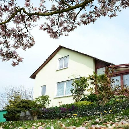 Ferienwohnung Rheinblick Bad Bellingen Exterior photo