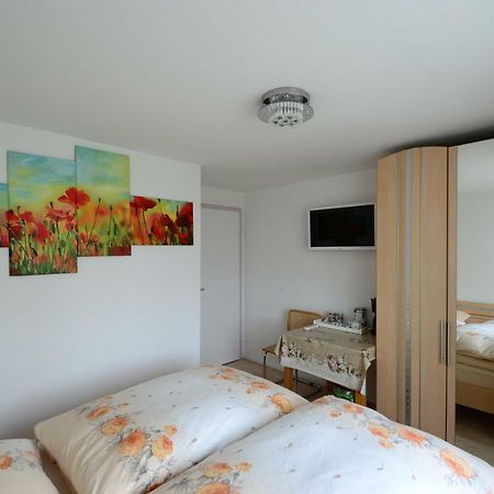 Ferienwohnung Rheinblick Bad Bellingen Exterior photo