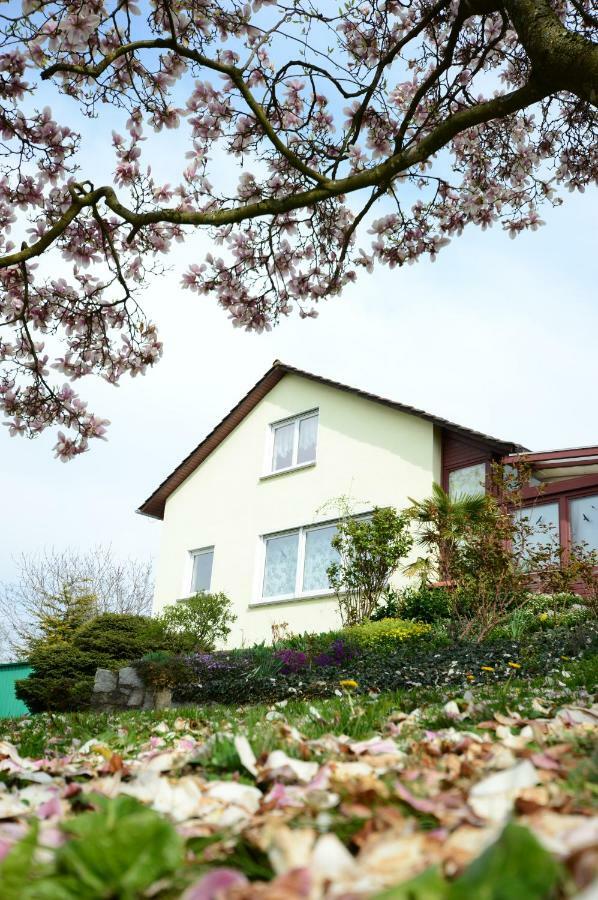 Ferienwohnung Rheinblick Bad Bellingen Exterior photo